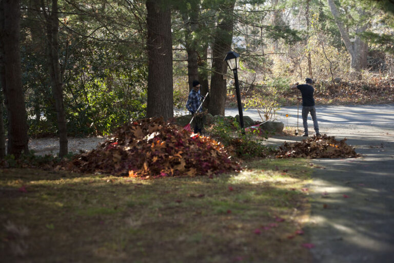 Deux jardiniers ramassent des feuilles mortes dans un parc