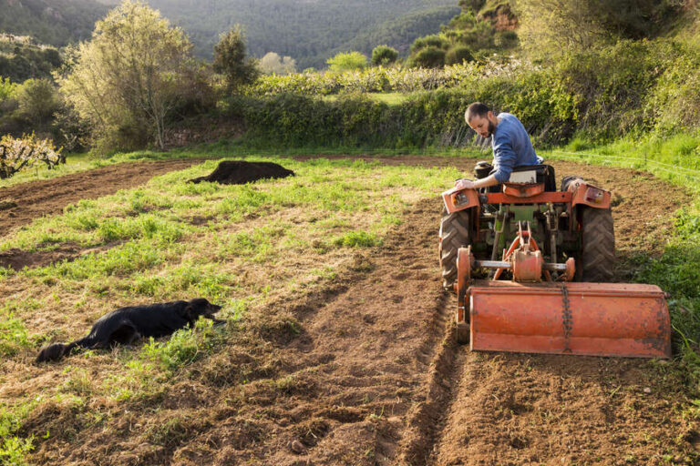 Un jardinier utilise un tracteur tondeuse avec une batterie neuve
