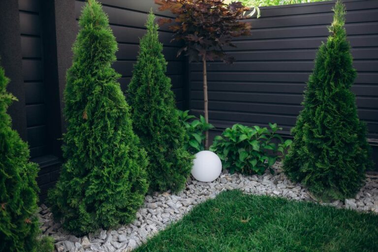 Un beau jardin avec des cyprès plantés sur les bordures