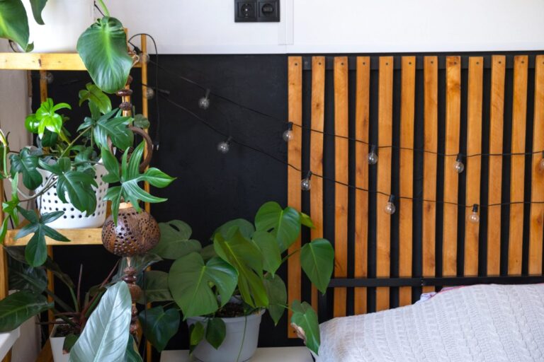 Intérieur d'une chambre avec des plantes vertes
