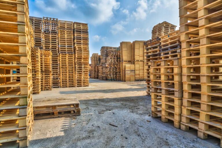 Des piles de palettes en bois