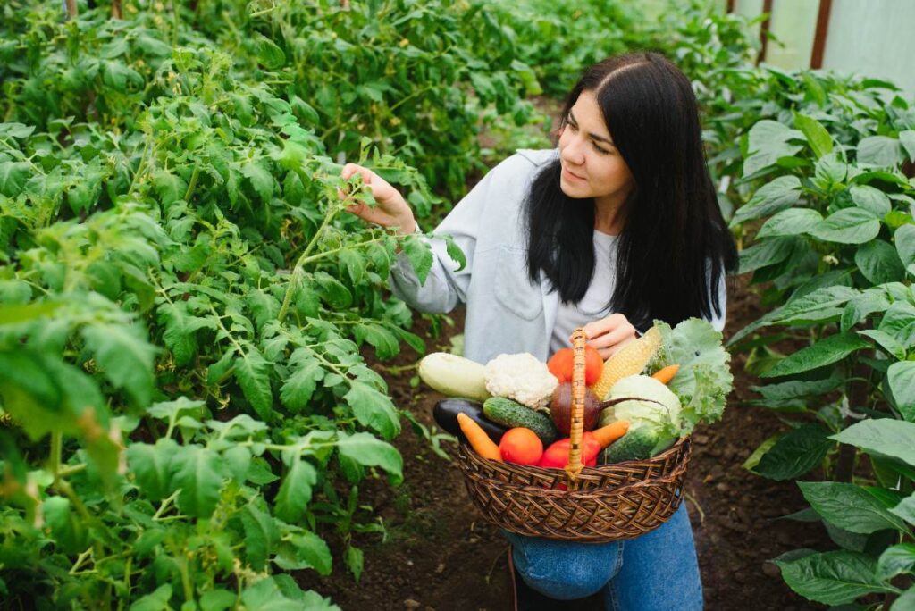 Une femme récoltant des légumes frais dans le potager