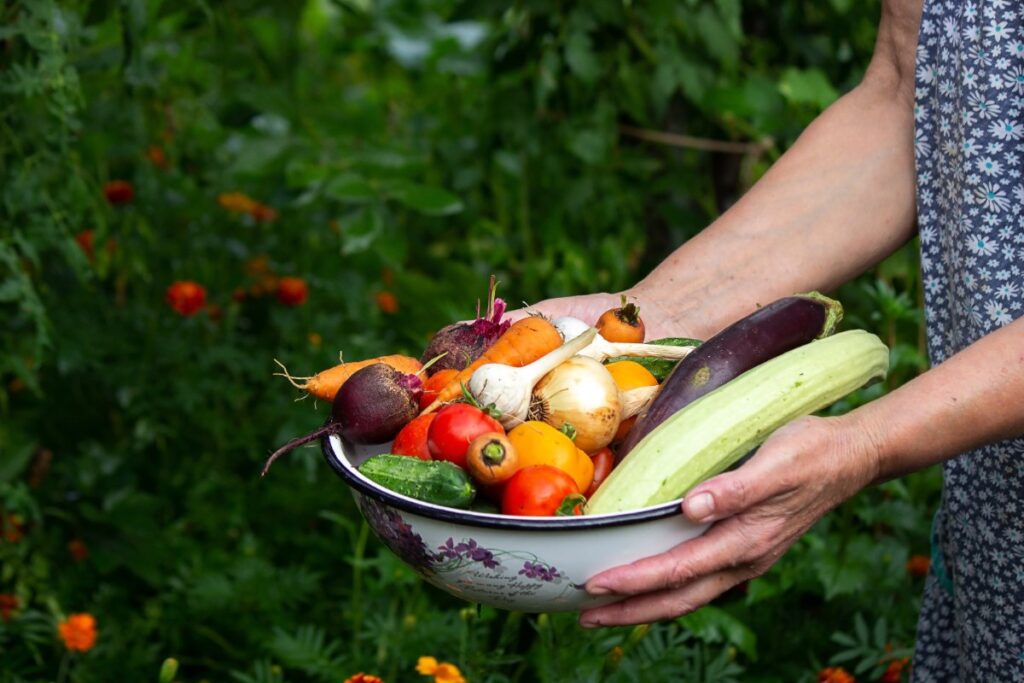 Une personne tenant un panier avec des légumes fraîchement cueillis